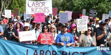 Movement solidarity days legislation: what you need to know